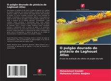 Capa do livro de O pulgão dourado do pistácio de Laghouat Atlas 