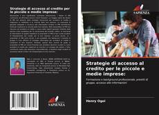 Bookcover of Strategie di accesso al credito per le piccole e medie imprese: