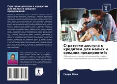 Обложка Стратегии доступа к кредитам для малых и средних предприятий: