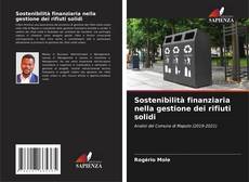 Bookcover of Sostenibilità finanziaria nella gestione dei rifiuti solidi