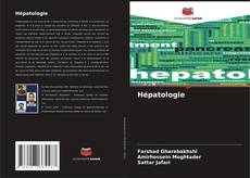 Hépatologie的封面