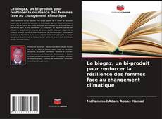 Copertina di Le biogaz, un bi-produit pour renforcer la résilience des femmes face au changement climatique