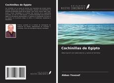 Bookcover of Cochinillas de Egipto