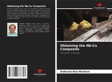 Copertina di Obtaining the Nb-Cu Composite