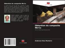 Bookcover of Obtention du composite Nb-Cu