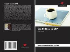 Bookcover of Credit Risk in STP