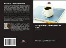 Bookcover of Risque de crédit dans le STP