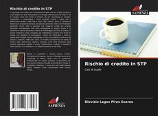 Bookcover of Rischio di credito in STP