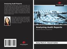 Bookcover of Analysing Audit Reports