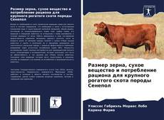 Couverture de Размер зерна, сухое вещество и потребление рациона для крупного рогатого скота породы Сенепол