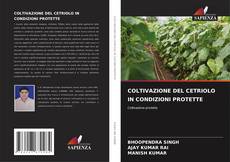 Couverture de COLTIVAZIONE DEL CETRIOLO IN CONDIZIONI PROTETTE