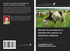 Copertina di Desvelar los secretos de la reproducción caprina y la bioquímica sanguínea