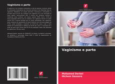 Capa do livro de Vaginismo e parto 