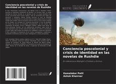 Bookcover of Conciencia poscolonial y crisis de identidad en las novelas de Rushdie