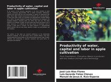 Copertina di Productivity of water, capital and labor in apple cultivation