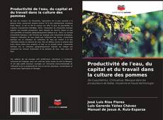 Couverture de Productivité de l'eau, du capital et du travail dans la culture des pommes