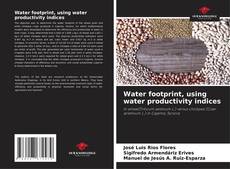 Bookcover of Water footprint, using water productivity indices