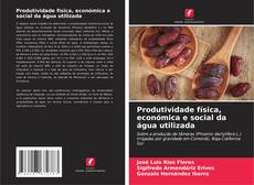 Capa do livro de Produtividade física, económica e social da água utilizada 