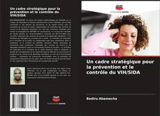 Copertina di Un cadre stratégique pour la prévention et le contrôle du VIH/SIDA