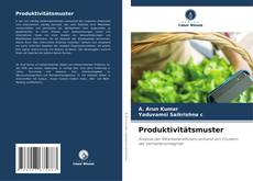 Capa do livro de Produktivitätsmuster 