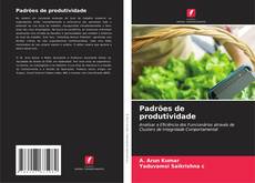 Capa do livro de Padrões de produtividade 