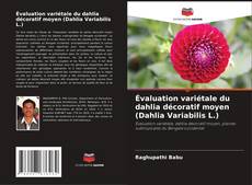 Borítókép a  Évaluation variétale du dahlia décoratif moyen (Dahlia Variabilis L.) - hoz