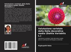 Valutazione varietale della Dalia decorativa media (Dahlia Variabilis L.)的封面
