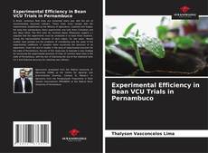 Обложка Experimental Efficiency in Bean VCU Trials in Pernambuco