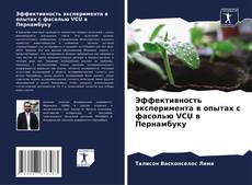 Portada del libro de Эффективность эксперимента в опытах с фасолью VCU в Пернамбуку