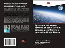 Copertina di Épaisseur des morts-terrains et estimation du tonnage potentiel de la pegmatite Olode-Gbayo