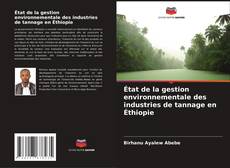 Copertina di État de la gestion environnementale des industries de tannage en Éthiopie