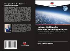 Copertina di Interprétation des données aéromagnétiques