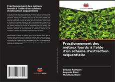 Copertina di Fractionnement des métaux lourds à l'aide d'un schéma d'extraction séquentielle