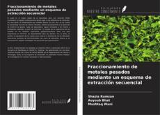 Buchcover von Fraccionamiento de metales pesados mediante un esquema de extracción secuencial