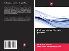 Bookcover of Cultura de tecidos de plantas