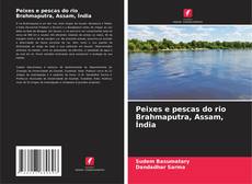 Bookcover of Peixes e pescas do rio Brahmaputra, Assam, Índia