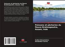Copertina di Poissons et pêcheries du fleuve Brahmapoutre, Assam, Inde