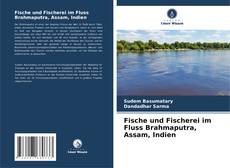 Portada del libro de Fische und Fischerei im Fluss Brahmaputra, Assam, Indien