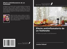 Bookcover of Efecto antiinflamatorio de un fosfonato