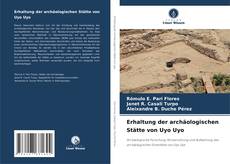 Erhaltung der archäologischen Stätte von Uyo Uyo kitap kapağı