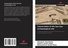 Conservation of the Uyo Uyo archaeological site的封面