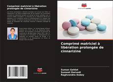 Copertina di Comprimé matriciel à libération prolongée de cinnarizine