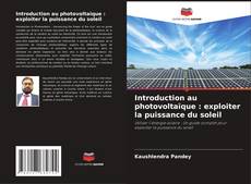 Copertina di Introduction au photovoltaïque : exploiter la puissance du soleil