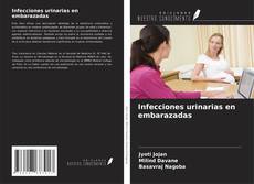 Buchcover von Infecciones urinarias en embarazadas