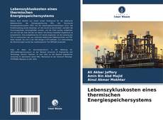 Lebenszykluskosten eines thermischen Energiespeichersystems kitap kapağı