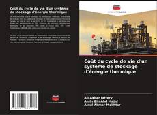 Copertina di Coût du cycle de vie d'un système de stockage d'énergie thermique