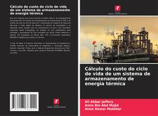 Capa do livro de Cálculo do custo do ciclo de vida de um sistema de armazenamento de energia térmica 