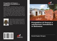 Prospettive di finanza e valutazione immobiliare in Botswana kitap kapağı