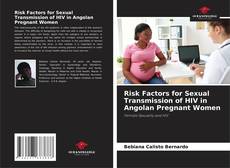 Risk Factors for Sexual Transmission of HIV in Angolan Pregnant Women的封面