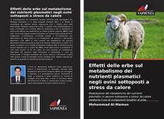 Effetti delle erbe sul metabolismo dei nutrienti plasmatici negli ovini sottoposti a stress da calore kitap kapağı